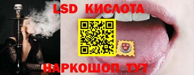 амф Бийск
