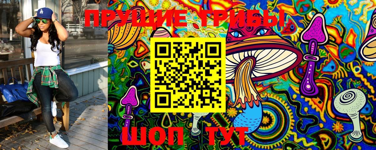 Псилоцибиновые грибы GOLDEN TEACHER Канаш