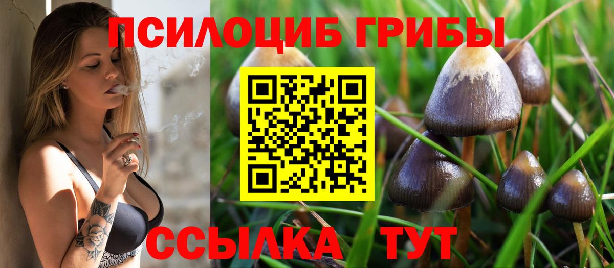 Псилоцибиновые грибы Psilocybine cubensis  Вход с VPN  Галлюциногенные грибы GOLDEN TEACHER  Канаш 